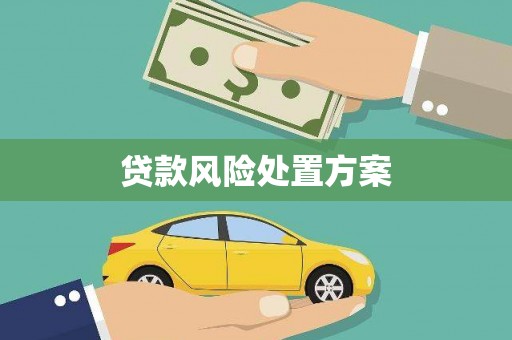 舒城贷款风险处置方案