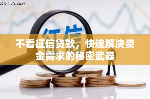 舒城不看征信贷款，快速解决资金需求的秘密武器