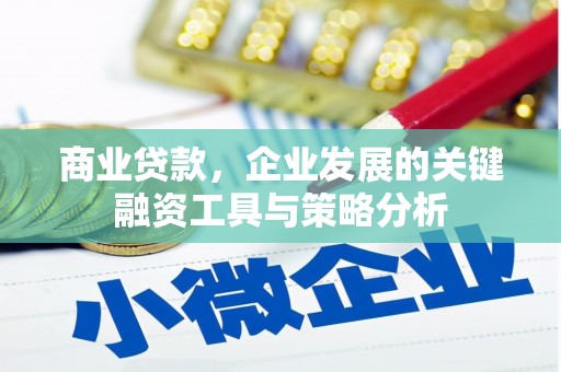 舒城商业贷款，企业发展的关键融资工具与策略分析