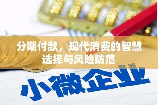 舒城分期付款，现代消费的智慧选择与风险防范