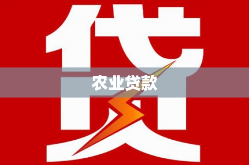舒城农业贷款
