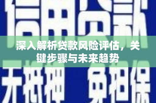 舒城深入解析贷款风险评估，关键步骤与未来趋势