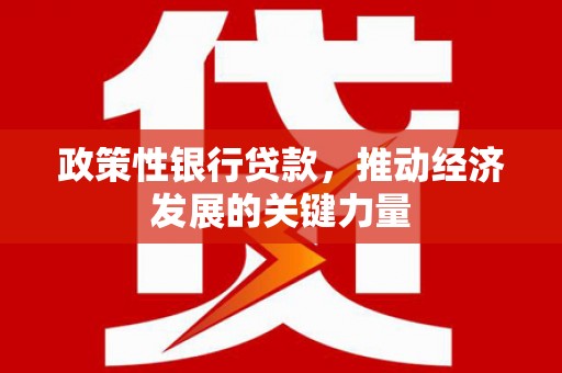 舒城政策性银行贷款，推动经济发展的关键力量