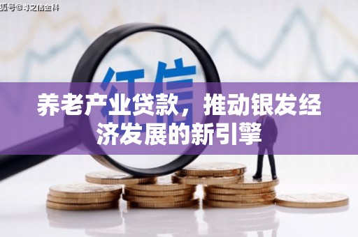 舒城养老产业贷款，推动银发经济发展的新引擎