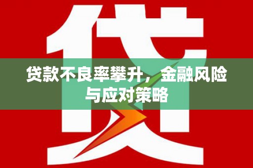 舒城贷款不良率攀升，金融风险与应对策略