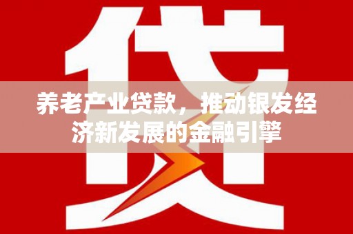 舒城养老产业贷款，推动银发经济新发展的金融引擎