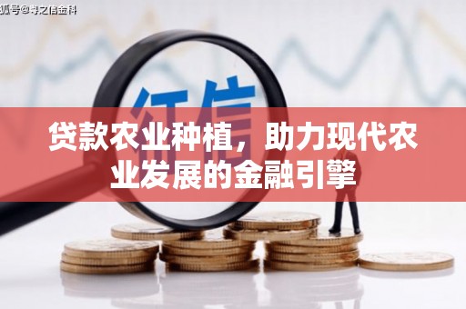 舒城贷款农业种植，助力现代农业发展的金融引擎