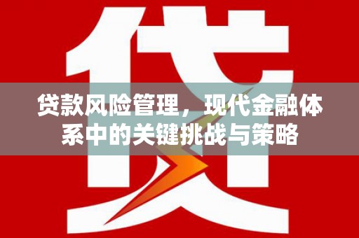 舒城贷款风险管理，现代金融体系中的关键挑战与策略