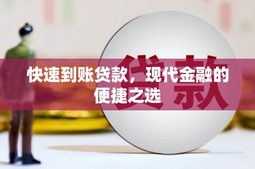 舒城快速到账贷款，现代金融的便捷之选