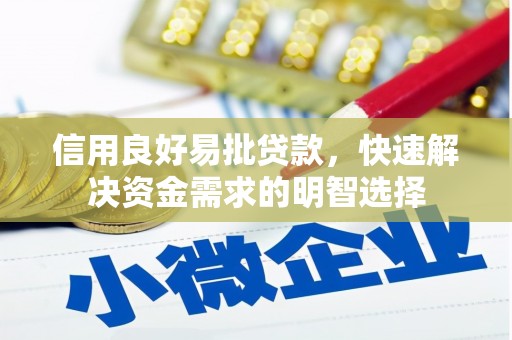 舒城信用良好易批贷款，快速解决资金需求的明智选择