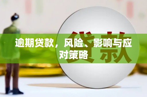 舒城逾期贷款，风险、影响与应对策略