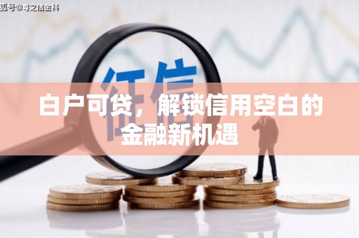 舒城白户可贷，解锁信用空白的金融新机遇