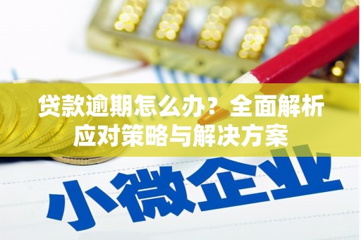 舒城贷款逾期怎么办？全面解析应对策略与解决方案