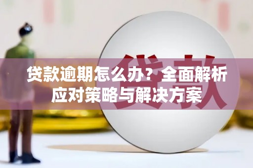 舒城贷款逾期怎么办？全面解析应对策略与解决方案