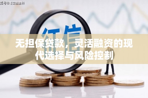 舒城无担保贷款，灵活融资的现代选择与风险控制