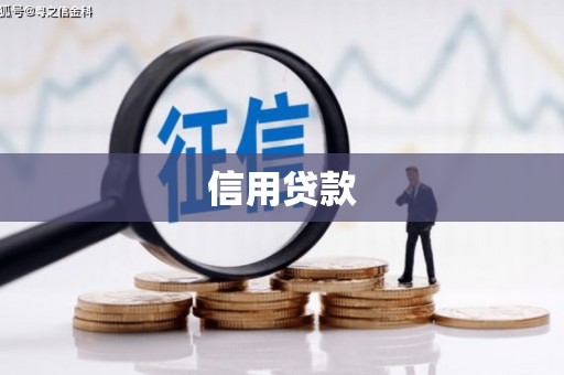 舒城信用贷款