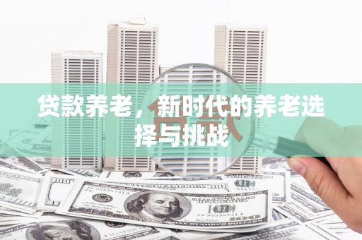 舒城贷款养老，新时代的养老选择与挑战
