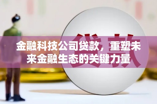 舒城金融科技公司贷款，重塑未来金融生态的关键力量