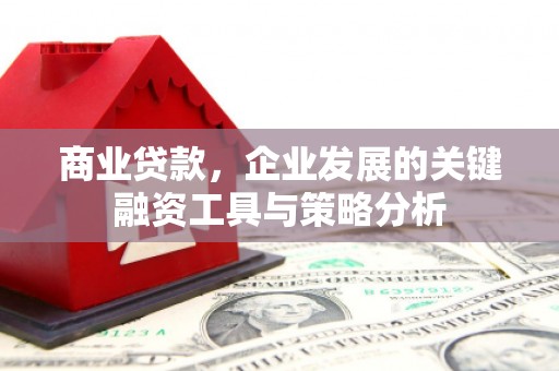 舒城商业贷款，企业发展的关键融资工具与策略分析