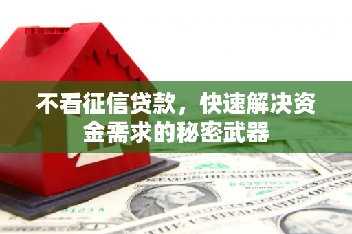 舒城不看征信贷款，快速解决资金需求的秘密武器