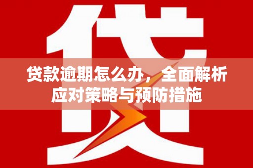 舒城贷款逾期怎么办，全面解析应对策略与预防措施