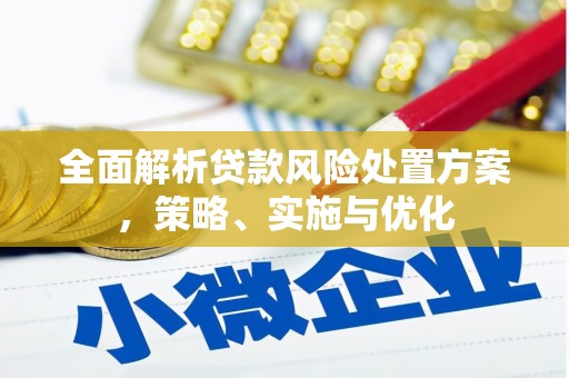 舒城全面解析贷款风险处置方案，策略、实施与优化