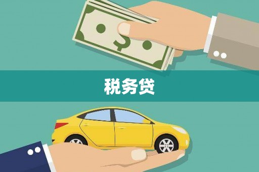 舒城税务贷
