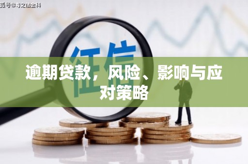 舒城逾期贷款，风险、影响与应对策略