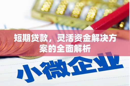 舒城短期贷款，灵活资金解决方案的全面解析