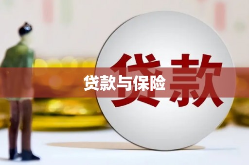 舒城贷款与保险