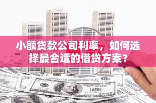 舒城小额贷款公司利率，如何选择最合适的借贷方案？
