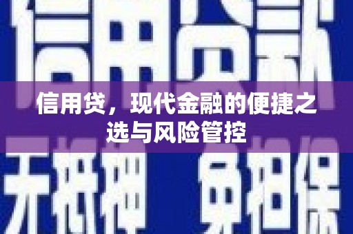舒城信用贷，现代金融的便捷之选与风险管控