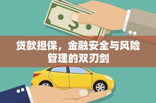 舒城贷款担保，金融安全与风险管理的双刃剑