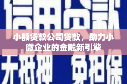 舒城小额贷款公司贷款，助力小微企业的金融新引擎