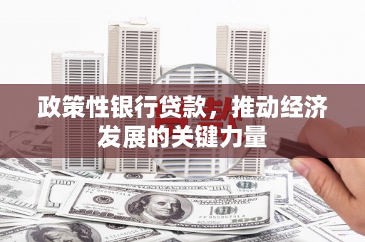舒城政策性银行贷款，推动经济发展的关键力量