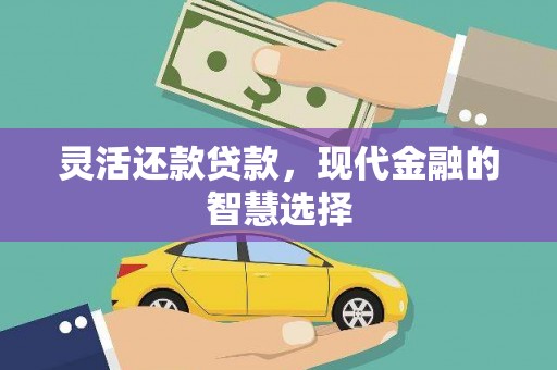 舒城灵活还款贷款，现代金融的智慧选择