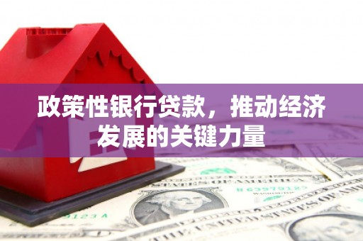 舒城政策性银行贷款，推动经济发展的关键力量