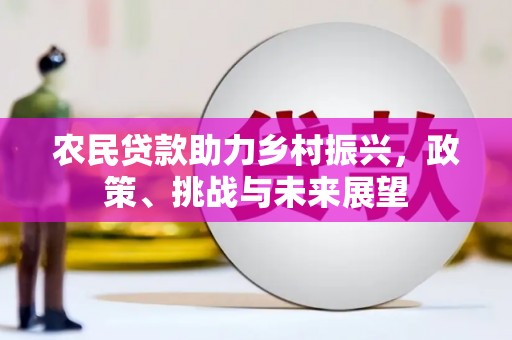 舒城农民贷款助力乡村振兴，政策、挑战与未来展望