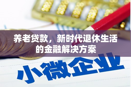 舒城养老贷款，新时代退休生活的金融解决方案