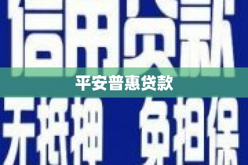 舒城平安普惠贷款