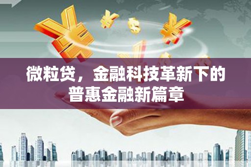 舒城微粒贷，金融科技革新下的普惠金融新篇章