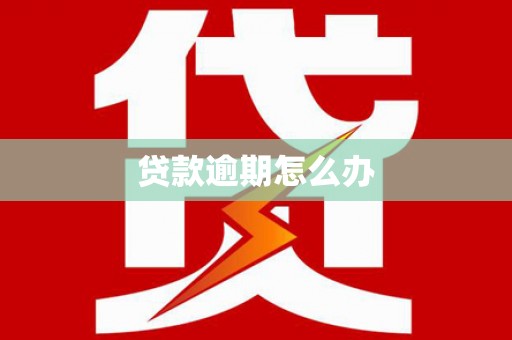舒城贷款逾期怎么办