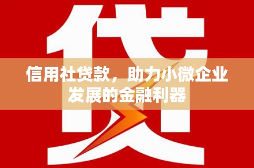 舒城信用社贷款，助力小微企业发展的金融利器