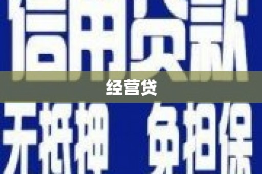 舒城经营贷
