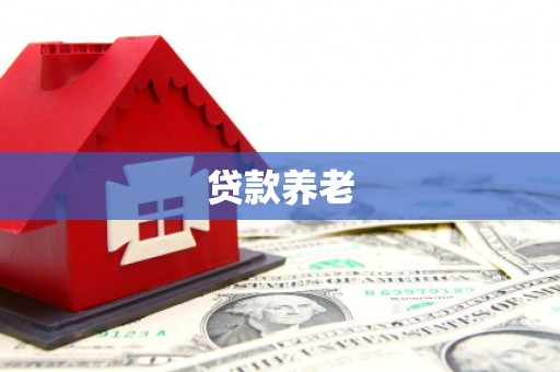 舒城贷款养老