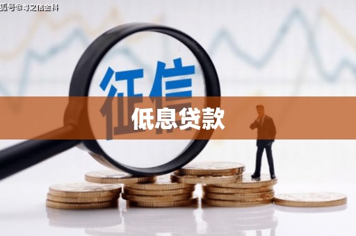 舒城低息贷款