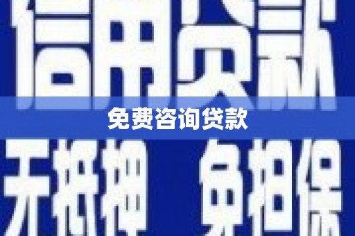 舒城免费咨询贷款