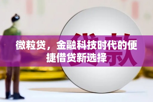 舒城微粒贷，金融科技时代的便捷借贷新选择