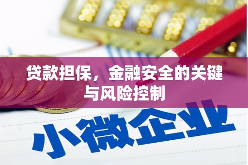 舒城贷款担保，金融安全的关键与风险控制