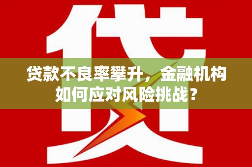 舒城贷款不良率攀升，金融机构如何应对风险挑战？